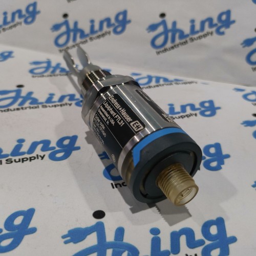 FTL31-1FH9/0 Endless + Hauser Point Level Switch