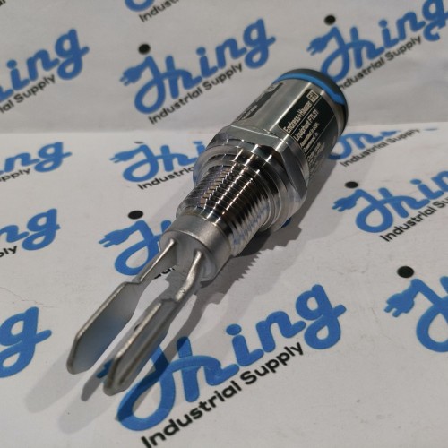 FTL31-1FH9/0 Endless + Hauser Point Level Switch