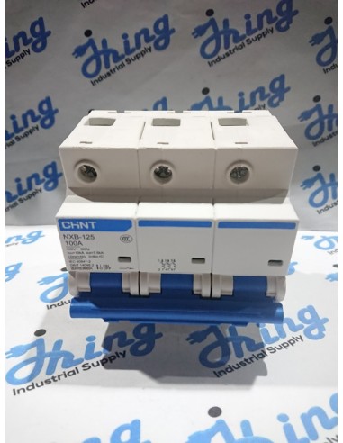 NXB-125 100A CHINT Moulded Case...