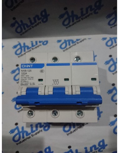 NXB-125 100A,  3 Pole, CHINT MCCB