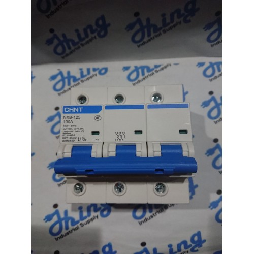 NXB-125 100A,  3 Pole, CHINT MCCB