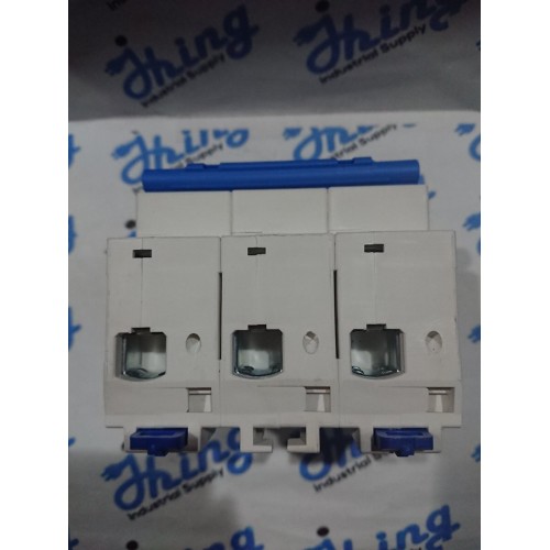 NXB-125 100A,  3 Pole, CHINT MCCB