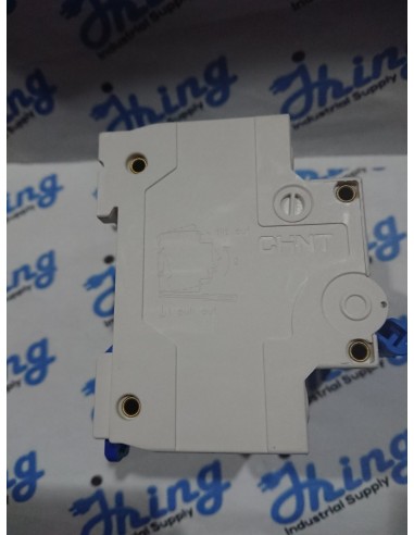 NXB-125 100A CHINT Moulded Case...