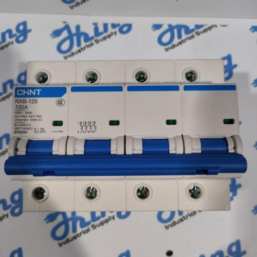 NXB-125 100A CHINT Circuit Breaker