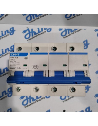NXB-125 100A CHINT Circuit Breaker