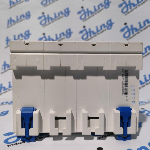 NXB-125 125A CHINT Moulded Case Circuit Breaker