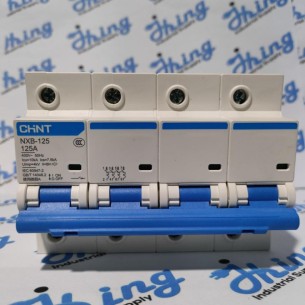 NXB-125 125A CHINT Moulded...
