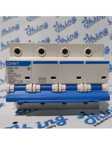 NXB-125 125A CHINT Moulded Case Circuit Breaker