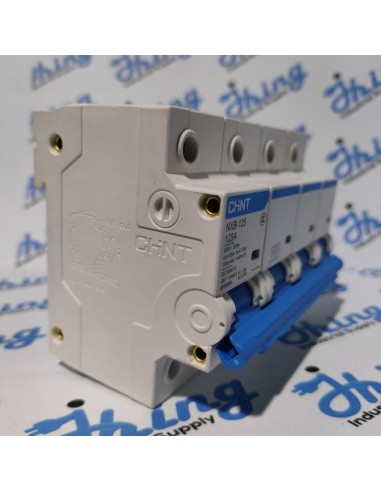 NXB-125 125A CHINT Moulded Case...