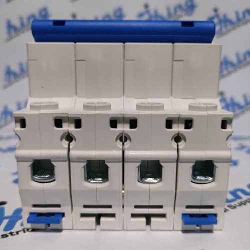 NXB-63 C40 CHINT Circuit Breaker