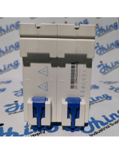 NXB-125 80A CHINT Moulded Case...