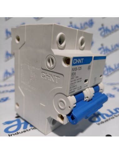 NXB-125 80A CHINT Moulded Case...