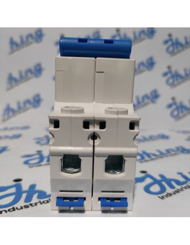 NXB-63 C50 CHINT Circuit Breaker