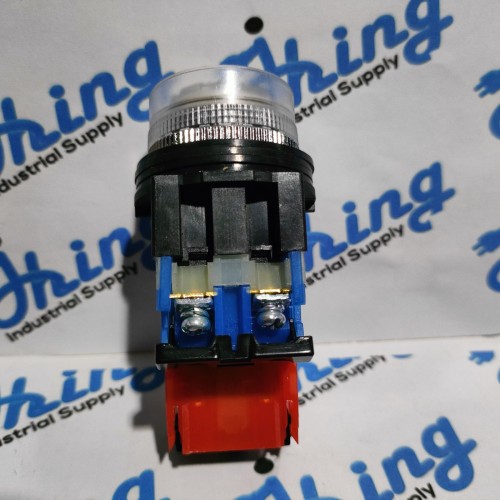 AR30G4L M3 Fuji Electric White Button Lamp