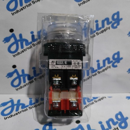 AR30G4L M3 Fuji Electric White Button Lamp