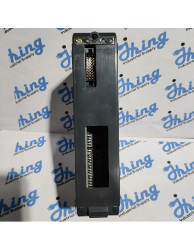 D4-16TD2 PLC Direct Output Module