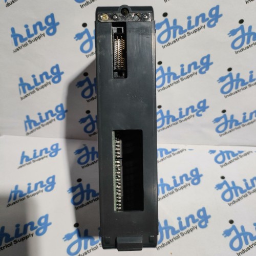 D4-16TD2 PLC Direct Output Module